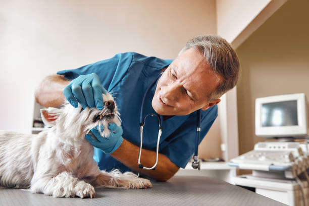  Buena Vista, GA Emergency Dentist Pros